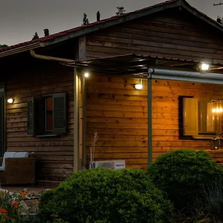 Dreamy Wooden * リクスリオン