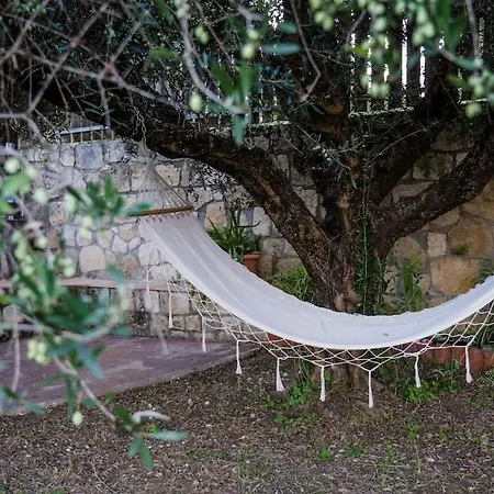 Dreamy Wooden Casa vacanze
