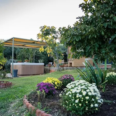 Casa vacanze Dreamy Wooden Lixouri