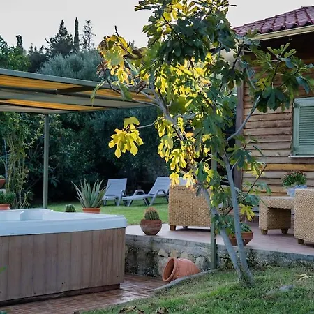 Dreamy Wooden Holiday home